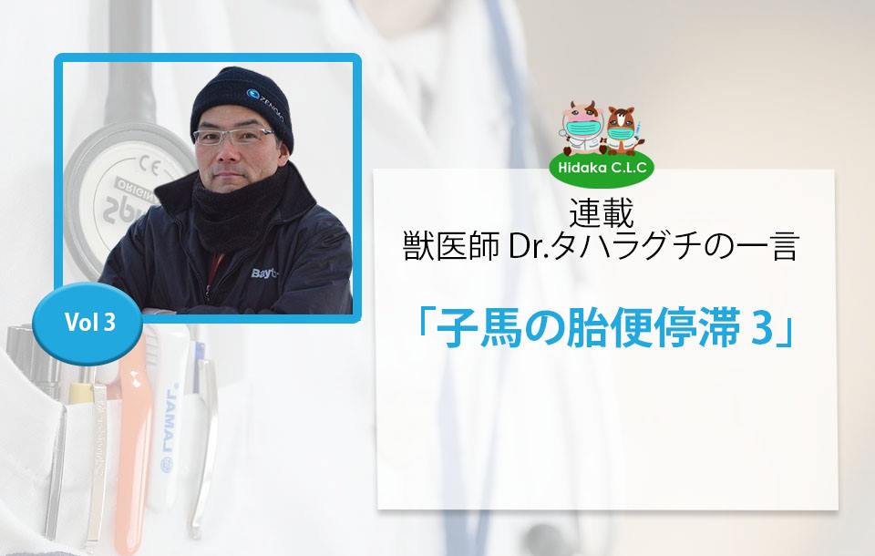 馬の繁殖シーズン ほぼ終了 株式会社ひだかc L C 馬の繁殖シーズン ほぼ終了 株式会社ひだかc L C
